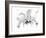 Orchid-Maria Trad-Framed Giclee Print