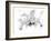 Orchid-Maria Trad-Framed Giclee Print