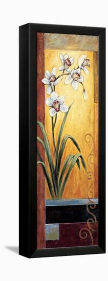 Orchid-Jill Deveraux-Framed Stretched Canvas