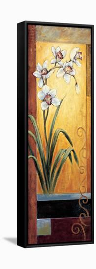 Orchid-Jill Deveraux-Framed Stretched Canvas