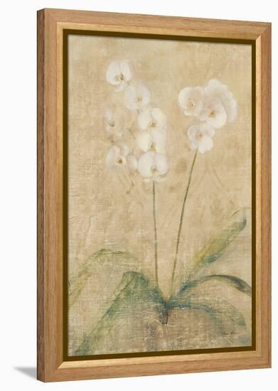 Orchid-Cheri Blum-Framed Stretched Canvas