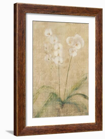 Orchid-Cheri Blum-Framed Premium Giclee Print