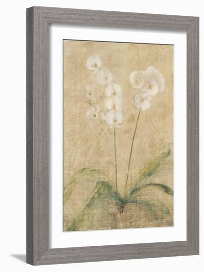 Orchid-Cheri Blum-Framed Art Print