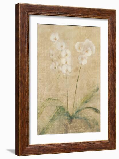 Orchid-Cheri Blum-Framed Art Print