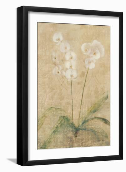 Orchid-Cheri Blum-Framed Art Print