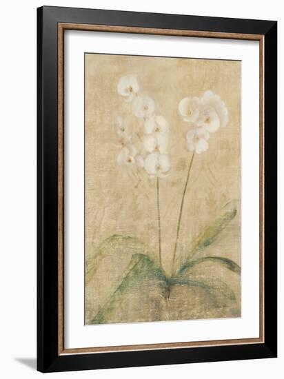 Orchid-Cheri Blum-Framed Art Print