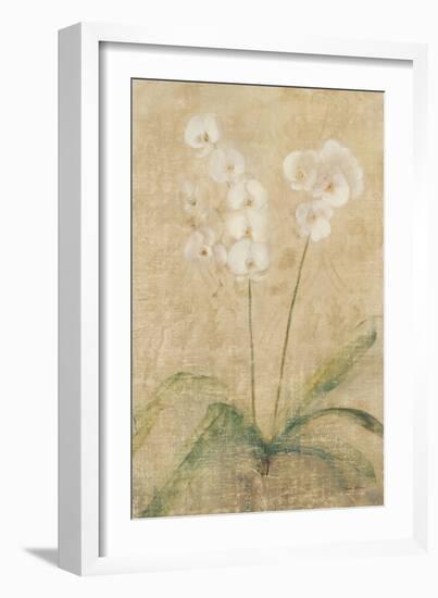 Orchid-Cheri Blum-Framed Art Print