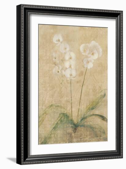 Orchid-Cheri Blum-Framed Art Print