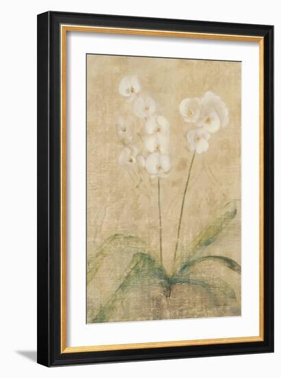 Orchid-Cheri Blum-Framed Art Print