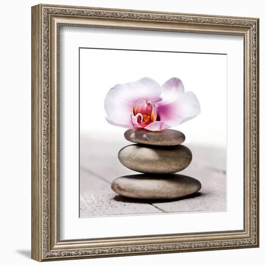 Orchidee aux Galets-Stephane De Bourgies-Framed Art Print