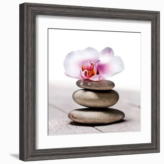 Orchidee aux Galets-Stephane De Bourgies-Framed Art Print