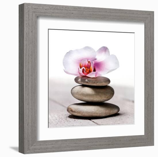 Orchidee aux Galets-Stephane De Bourgies-Framed Art Print