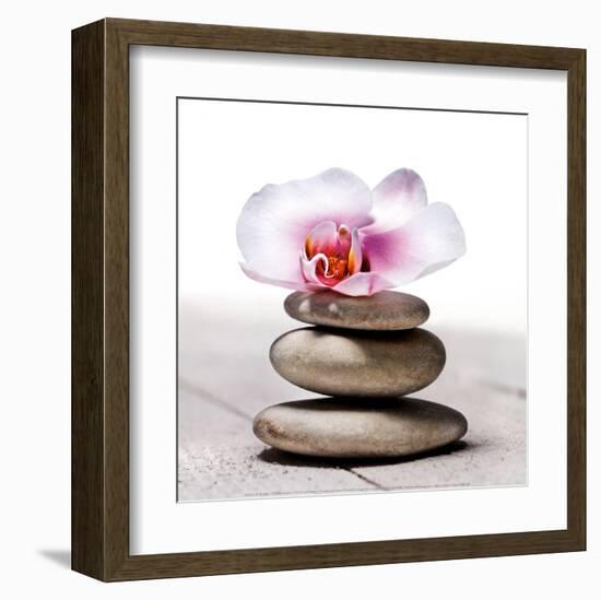 Orchidee aux Galets-Stephane De Bourgies-Framed Art Print