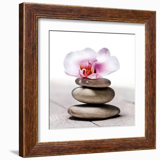 Orchidee aux Galets-Stephane De Bourgies-Framed Art Print