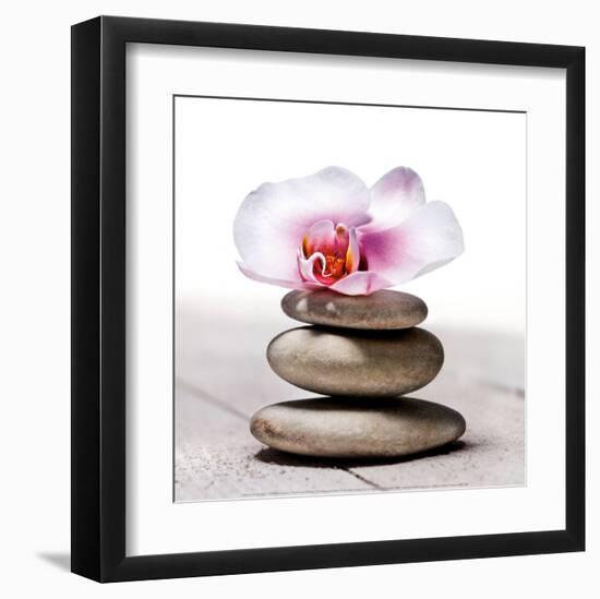 Orchidee aux Galets-Stephane De Bourgies-Framed Art Print