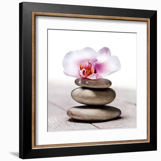 Orchidee aux Galets-Stephane De Bourgies-Framed Art Print