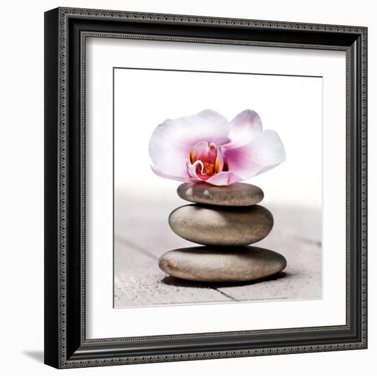 Orchidee aux Galets-Stephane De Bourgies-Framed Art Print