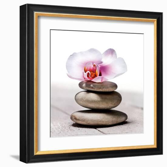 Orchidee aux Galets-Stephane De Bourgies-Framed Art Print