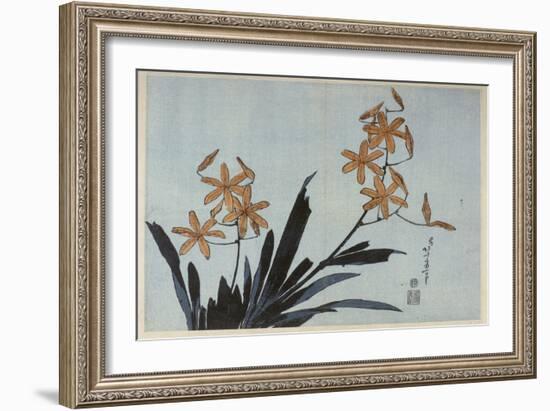 Orchidées orange-Katsushika Hokusai-Framed Giclee Print