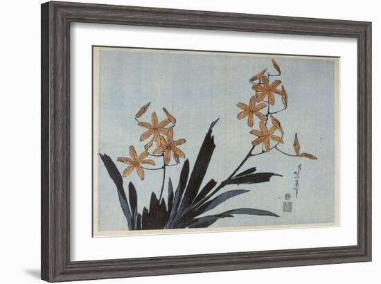 Orchidées orange-Katsushika Hokusai-Framed Giclee Print