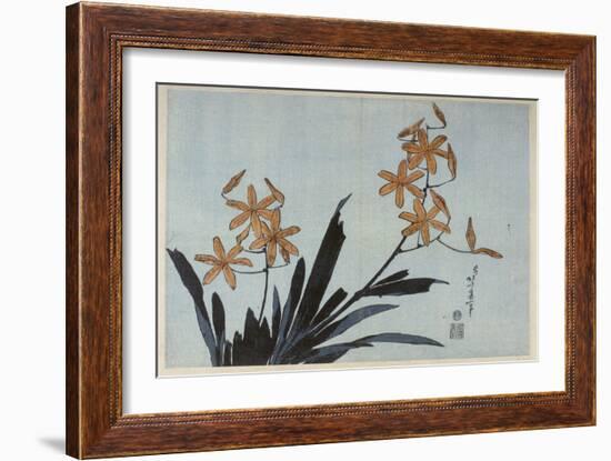 Orchidées orange-Katsushika Hokusai-Framed Giclee Print