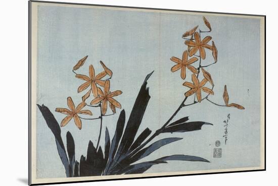 Orchidées orange-Katsushika Hokusai-Mounted Giclee Print