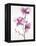 Orchids 1-Karin Johannesson-Framed Stretched Canvas