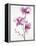 Orchids 1-Karin Johannesson-Framed Stretched Canvas