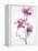 Orchids 1-Karin Johannesson-Framed Stretched Canvas