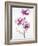 Orchids 1-Karin Johannesson-Framed Art Print