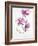 Orchids 1-Karin Johannesson-Framed Art Print