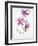 Orchids 1-Karin Johannesson-Framed Art Print