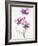 Orchids 1-Karin Johannesson-Framed Art Print