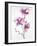 Orchids 1-Karin Johannesson-Framed Art Print