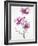 Orchids 1-Karin Johannesson-Framed Art Print