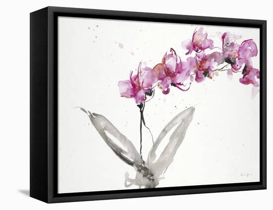 Orchids 2-Karin Johannesson-Framed Stretched Canvas