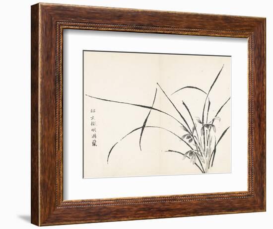 Orchids after Wen Zhengming-null-Framed Premium Giclee Print