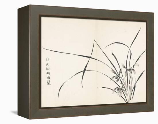 Orchids after Wen Zhengming-null-Framed Stretched Canvas