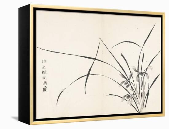 Orchids after Wen Zhengming-null-Framed Stretched Canvas