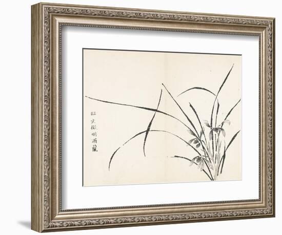 Orchids after Wen Zhengming-null-Framed Art Print