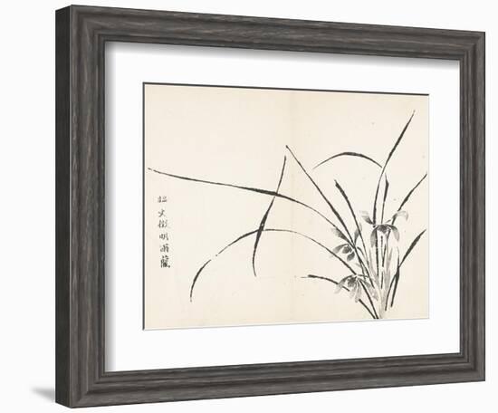 Orchids after Wen Zhengming-null-Framed Art Print