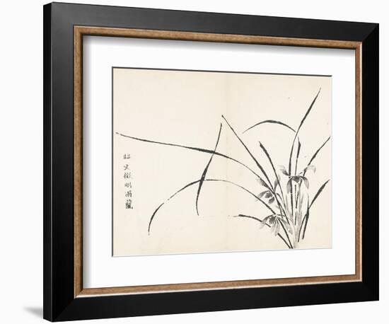 Orchids after Wen Zhengming-null-Framed Art Print