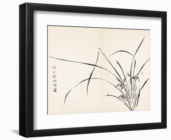 Orchids after Wen Zhengming-null-Framed Art Print