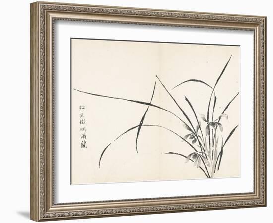 Orchids after Wen Zhengming-null-Framed Art Print