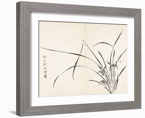 Orchids after Wen Zhengming-null-Framed Art Print