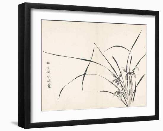 Orchids after Wen Zhengming-null-Framed Art Print