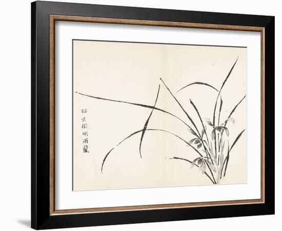 Orchids after Wen Zhengming-null-Framed Art Print