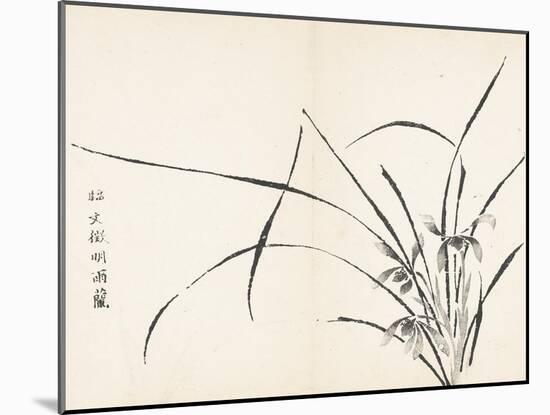 Orchids after Wen Zhengming-null-Mounted Art Print