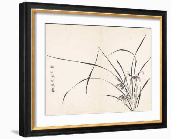 Orchids after Wen Zhengming-null-Framed Art Print