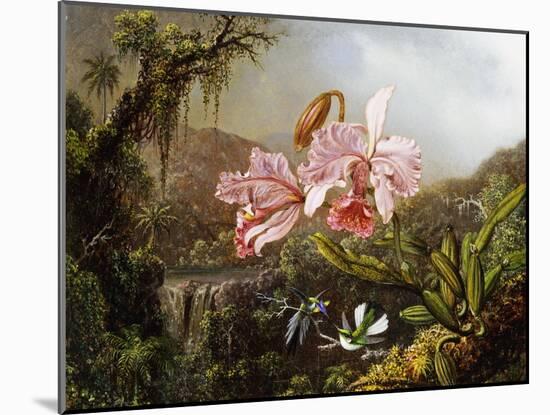 Orchids and Hummingbirds in a Brazilian Jungle, C. 1871-72-Martin Johnson Heade-Mounted Premium Giclee Print